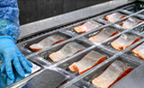 Cold Storage Pengolahan Produk Perikanan