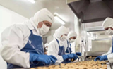 Cold Storage Pengolahan Makanan